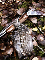 "Parempi pyy pivossa, kuin kymmenen oksalla."